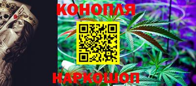 гидропоника Гусев