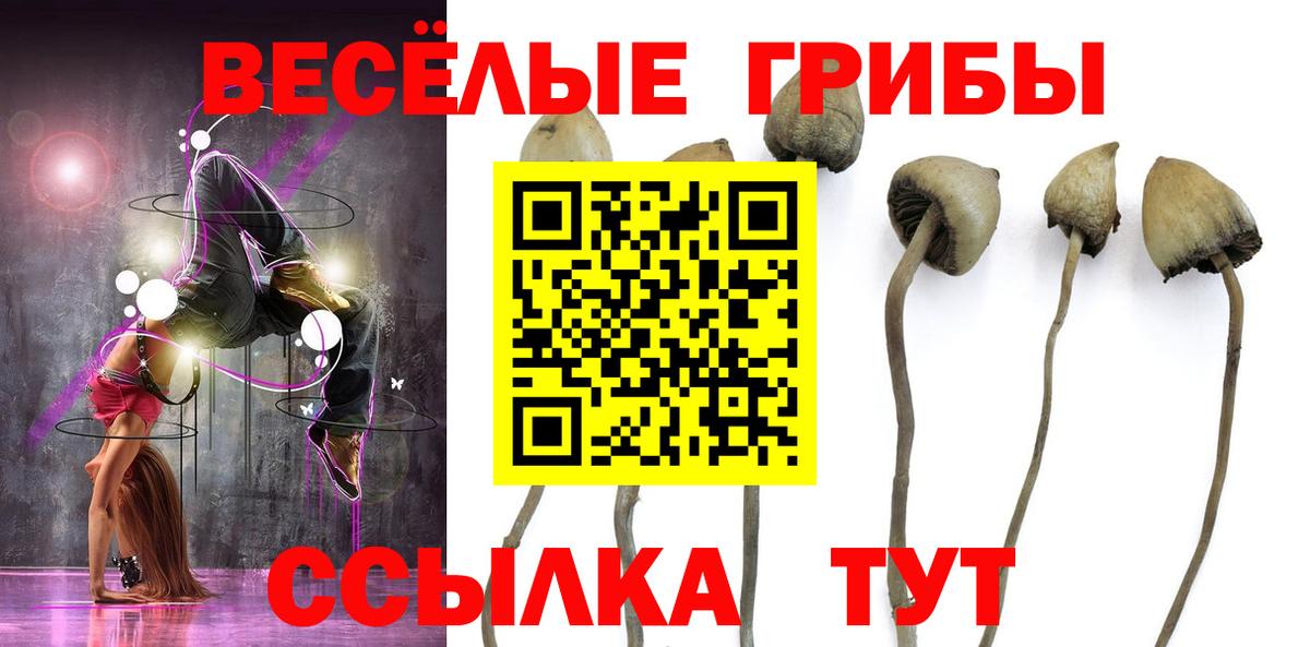Псилоцибиновые грибы мицелий Воронеж